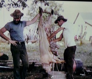 11813401_10206126388336787_3165076067443300852_n